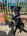 chien trouvé le 17082021 - Bouly