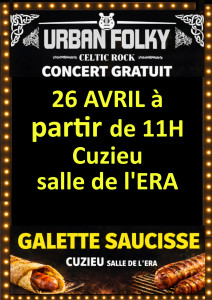 cuzieu_fete_bretonne_lumineux_260203_154702