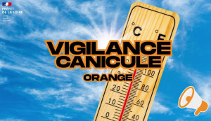 vigilance orange